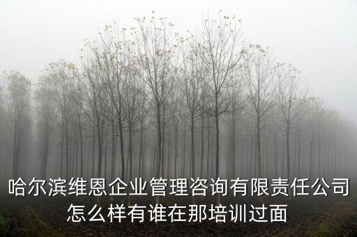 哈爾濱維恩企業(yè)管理咨詢有限責任公司怎么樣有誰在那培訓過面