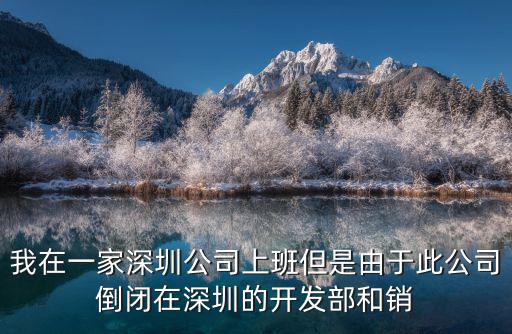 我在一家深圳公司上班但是由于此公司倒閉在深圳的開發(fā)部和銷