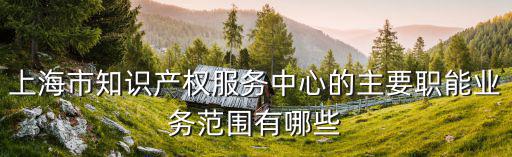 上海市知識產權服務中心的主要職能業務范圍有哪些