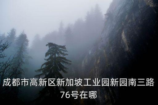 成都市高新區(qū)新加坡工業(yè)園新園南三路76號(hào)在哪