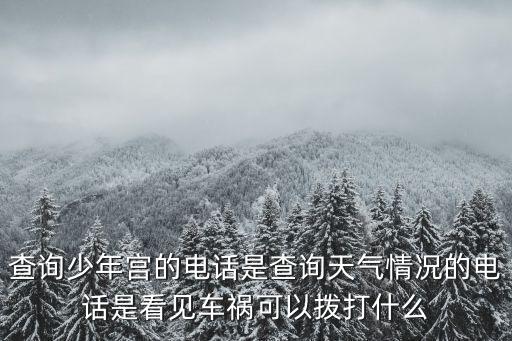 查詢少年宮的電話是查詢天氣情況的電話是看見車禍可以撥打什么