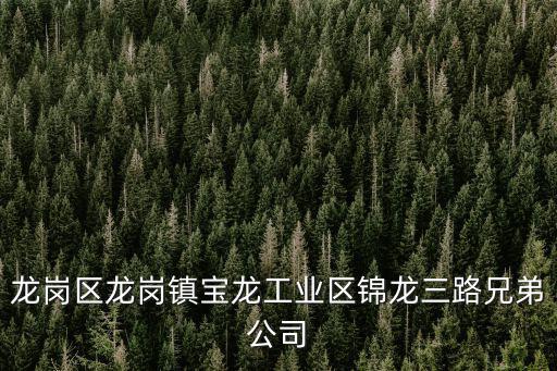 龍崗區龍崗鎮寶龍工業區錦龍三路兄弟公司