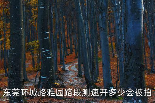 東莞環(huán)城路雅園路段測速開多少會被拍