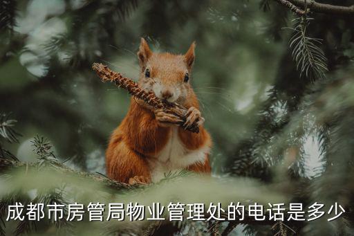 成都市房管局物業管理處的電話是多少