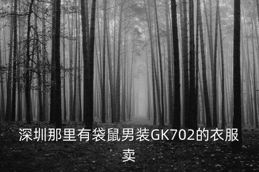 深圳市金袋鼠服飾，深圳那里有袋鼠男裝GK702的衣服賣
