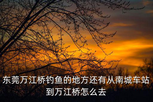 東莞萬(wàn)江橋釣魚(yú)的地方還有從南城車(chē)站到萬(wàn)江橋怎么去