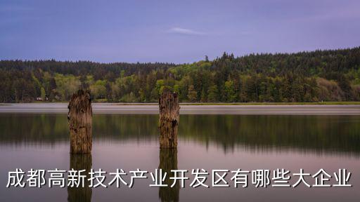 成都高新技術(shù)產(chǎn)業(yè)開發(fā)區(qū)有哪些大企業(yè)
