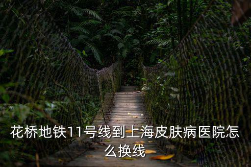 花橋地鐵11號線到上海皮膚病醫院怎么換線