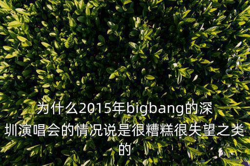 為什么2015年bigbang的深圳演唱會的情況說是很糟糕很失望之類的