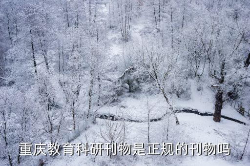 重慶教育科研刊物是正規的刊物嗎