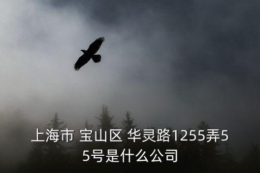 上海市 寶山區 華靈路1255弄55號是什么公司