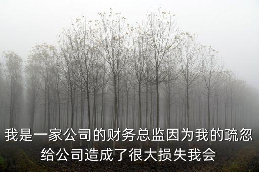 我是一家公司的財務總監因為我的疏忽給公司造成了很大損失我會