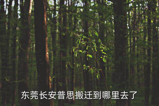 東莞長(zhǎng)安普思搬遷到哪里去了