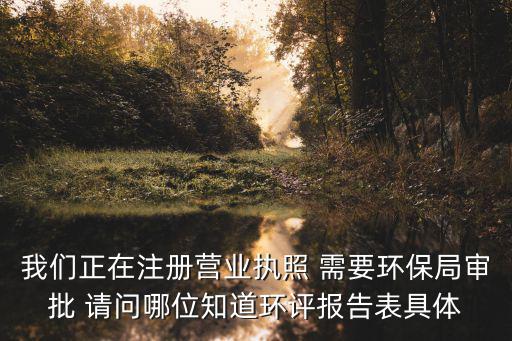 我們正在注冊(cè)營(yíng)業(yè)執(zhí)照 需要環(huán)保局審批 請(qǐng)問(wèn)哪位知道環(huán)評(píng)報(bào)告表具體
