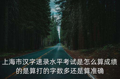 上海市漢字速錄水平考試是怎么算成績的是算打的字數多還是算準確