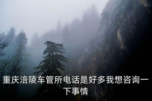 重慶涪陵車管所電話是好多我想咨詢一下事情