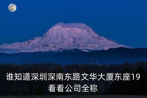 誰知道深圳深南東路文華大廈東座19看看公司全稱