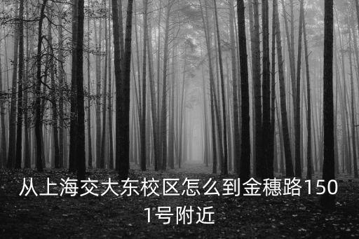 從上海交大東校區怎么到金穗路1501號附近