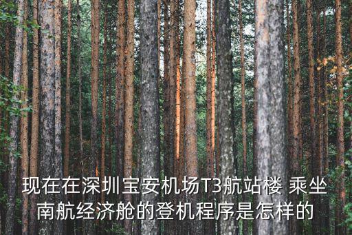 現在在深圳寶安機場T3航站樓 乘坐南航經濟艙的登機程序是怎樣的
