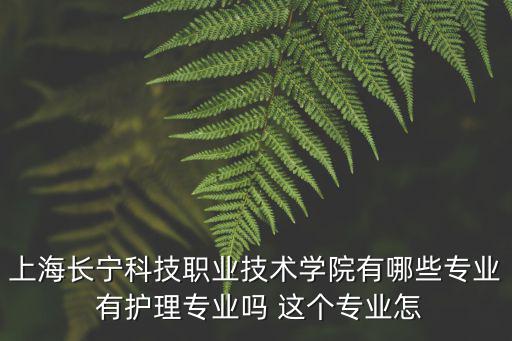 上海長(zhǎng)寧科技職業(yè)技術(shù)學(xué)院有哪些專業(yè) 有護(hù)理專業(yè)嗎 這個(gè)專業(yè)怎