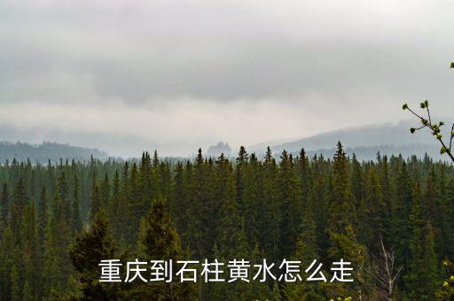 重慶市到黃水能夠坐輕軌嗎，重慶到石柱黃水怎么走