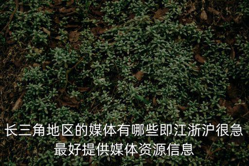 上海市的媒體還有哪些，上海正規的傳媒公司有哪幾家