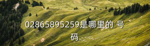 02865895259是哪里的 號碼