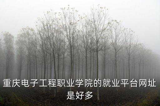 重慶市就業申報平臺，重慶找工作網站當中哪個網站效果最好匯博人才網wwwhuibocom