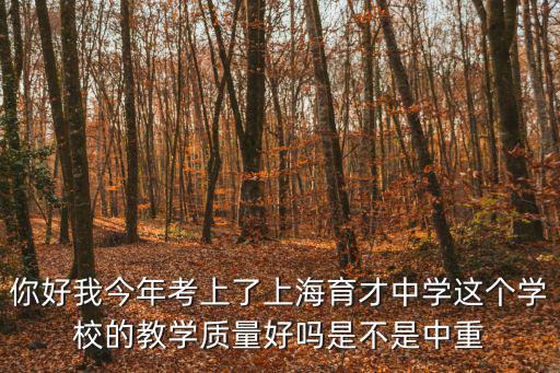你好我今年考上了上海育才中學這個學校的教學質量好嗎是不是中重