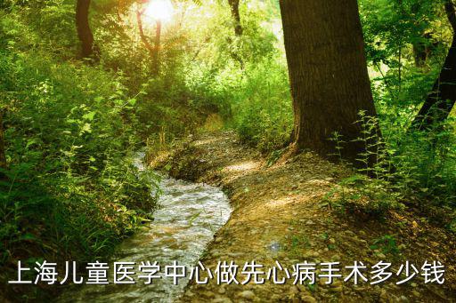 上海兒童醫(yī)學(xué)中心做先心病手術(shù)多少錢