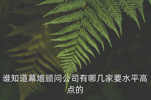誰知道幕墻顧問公司有哪幾家要水平高點的