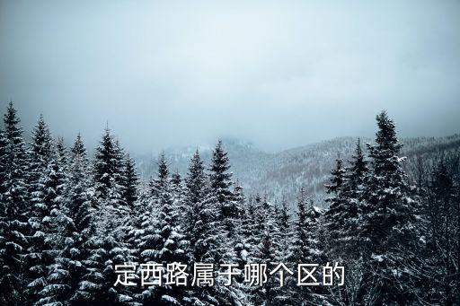 定西路屬于哪個區的