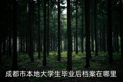 成都市本地大學生畢業后檔案在哪里