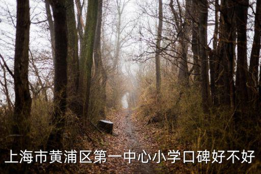 上海市黃浦區第一中心小學口碑好不好