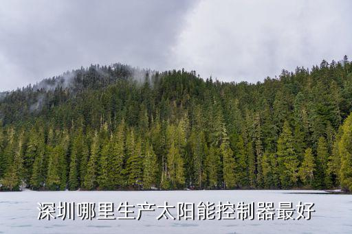 深圳哪里生產太陽能控制器最好