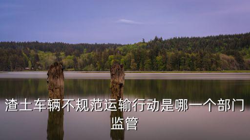 渣土車輛不規(guī)范運輸行動是哪一個部門監(jiān)管