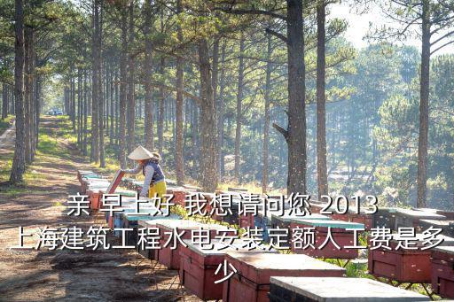 親 早上好 我想請問您 2013 上海建筑工程水電安裝定額人工費是多少