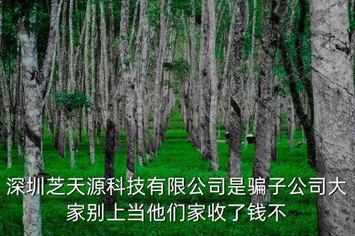 深圳市元特科技，深圳科技園南區WEB棟4樓是什么公司