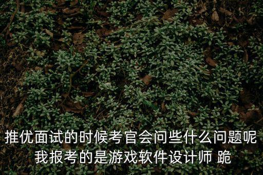 推優(yōu)面試的時候考官會問些什么問題呢 我報考的是游戲軟件設(shè)計(jì)師 跪