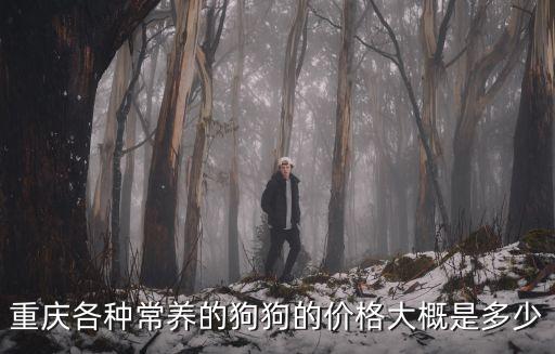 重慶市寵物狗價格表，重慶地區(qū)的狗價格知道的給我說下