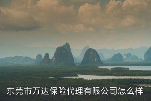 東莞市萬達(dá)保險(xiǎn)代理有限公司怎么樣
