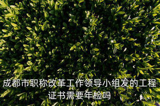 成都市政采專家年審，四川省政府采購網的專家申請為什么總是在審核中