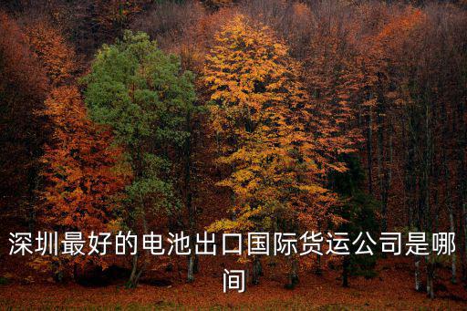 深圳市宏森國際物流有限公司，深圳最好的電池出口國際貨運公司是哪間