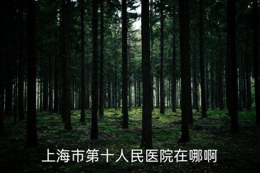 上海市第十人民醫院在哪啊