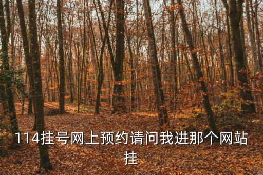 114掛號網上預約請問我進那個網站掛