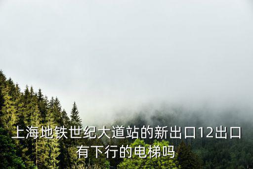 上海地鐵世紀大道站的新出口12出口有下行的電梯嗎