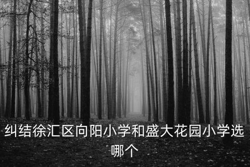 糾結徐匯區向陽小學和盛大花園小學選哪個