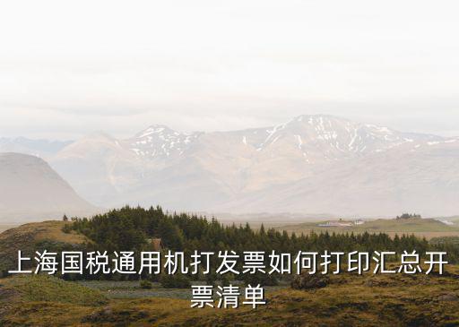 上海國稅通用機打發(fā)票如何打印匯總開票清單