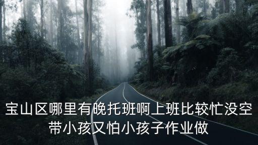 寶山區(qū)哪里有晚托班啊上班比較忙沒空帶小孩又怕小孩子作業(yè)做