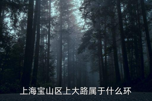 上海市寶山區(qū)上大路，上海到寶山區(qū)上大路怎么走